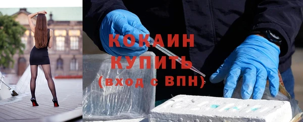 2c-b Гусев