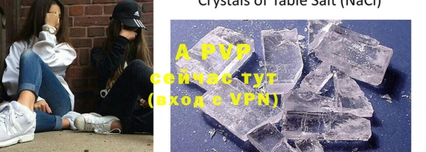 ALPHA-PVP Новозыбков